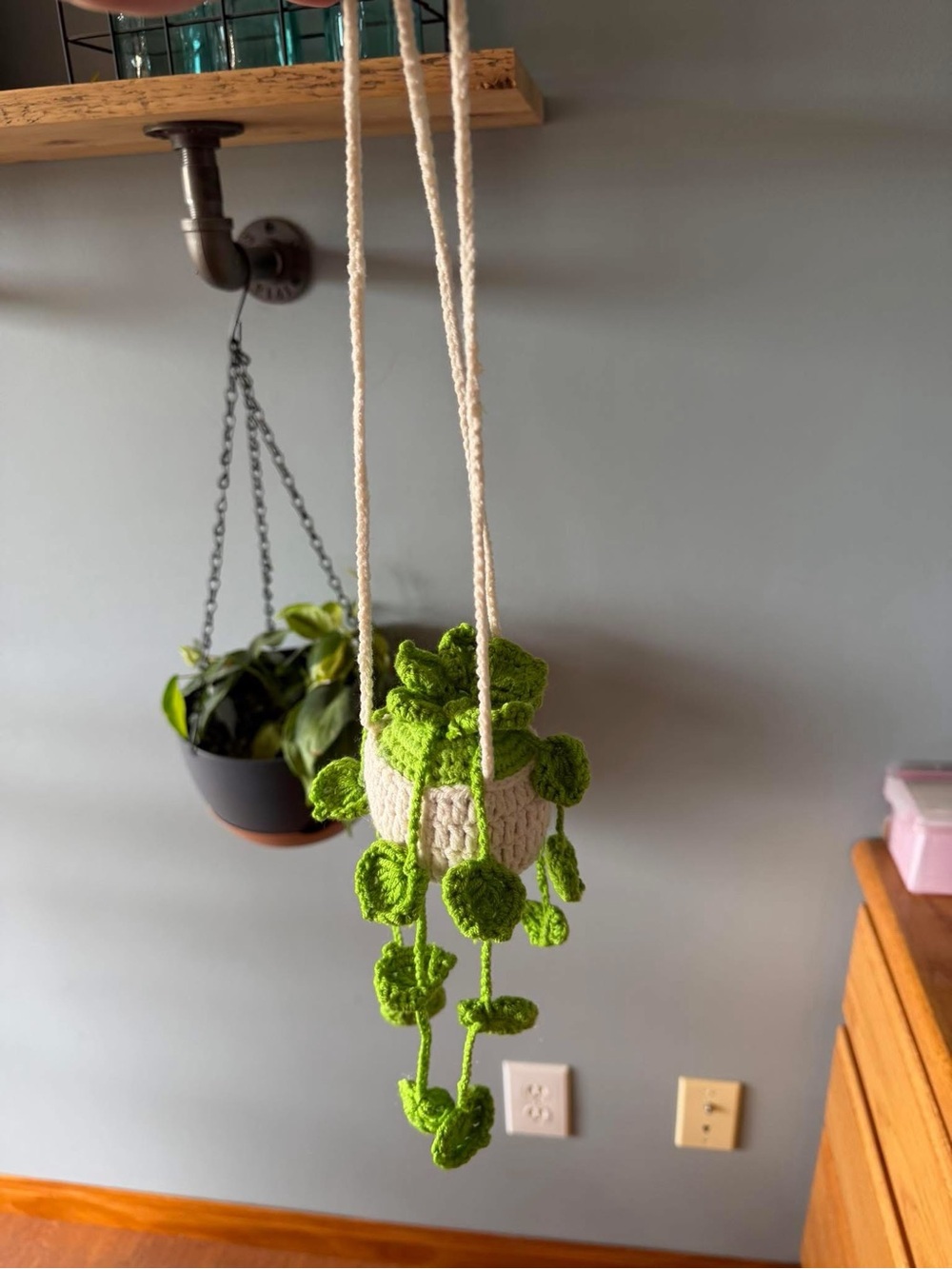 rear view mirror plant hanger